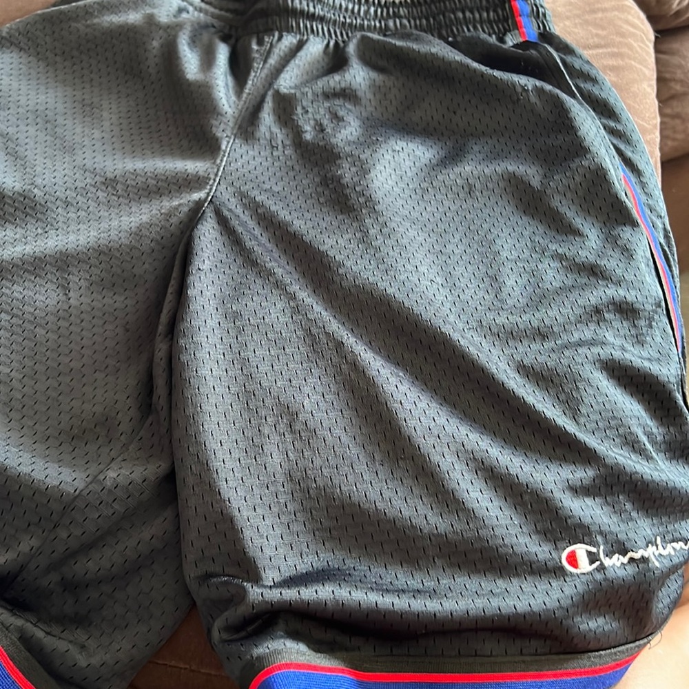 Mens champion mesh shorts